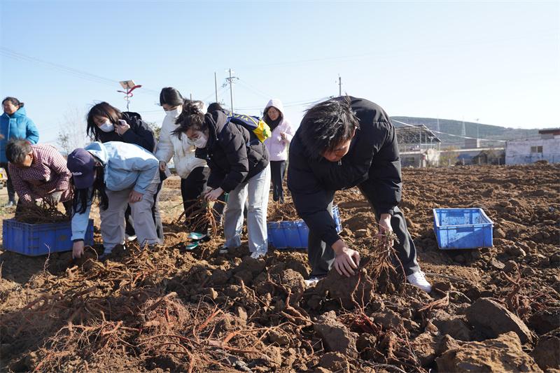 【医学技术系】玩球医学技术系师生走进新密市米村镇中草药种植基地开展实践活动