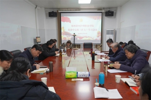 玩球召开党委理论学习中心组（扩大）会议
