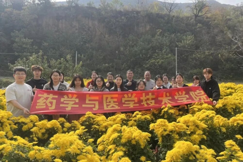【药学与医学技术学院】玩球药学与医学技术学院师生到新密中药材种植基地开展菊花采摘活动